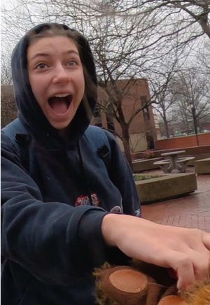 Video post by @marshallufamily on TikTok
