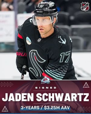 Image post by @puckreportnhl on Instagram