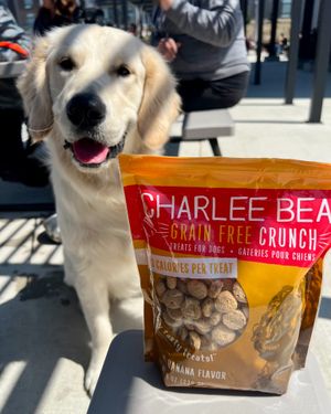Image post by @charlee_bear_dogtreats on Instagram
