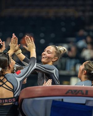 Image post by @redbirdgymnastics on Instagram