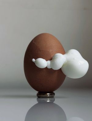 Image post by @fubiz on Instagram