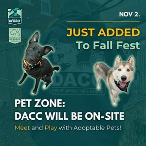 Image post by @DetroitParksRec on Facebook