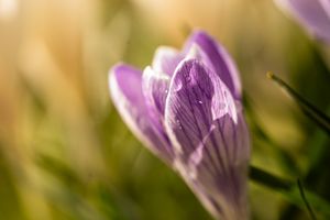 Image post by @sony.deutschland.at on Instagram