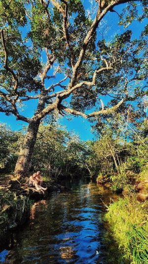 Image post by @vamospuesandres on Instagram