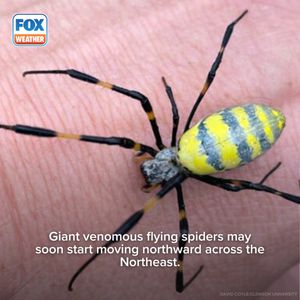 Image post by @foxweather on Instagram
