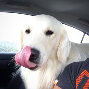 Image post by @mikethewhitegolden on Instagram