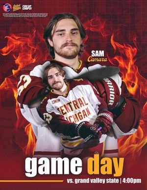 Image post by @cmuhockeyd3 on Instagram