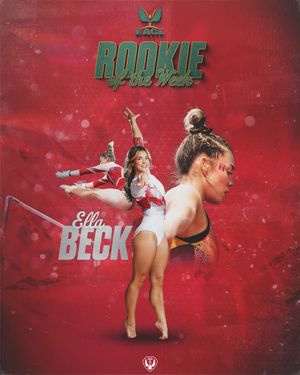 Image post by @templegymnastics on Instagram