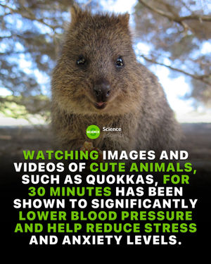 Image post by @science on Instagram
