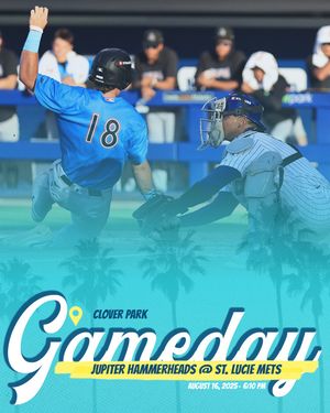 Image post by @gohammerheads on Instagram