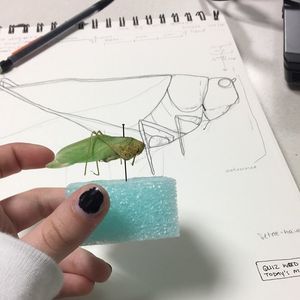 Image post by @kayderp on Instagram