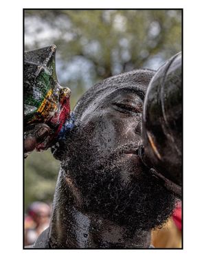 Image post by @akc_media on Instagram