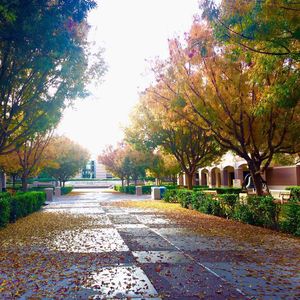 Image post by @arizonastateuniversity on Instagram