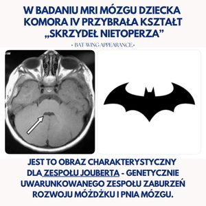 Image post by @neurochirurg_litak on Instagram