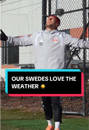 Video post by @redbullnewyork on TikTok