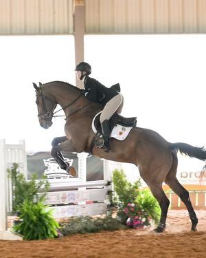 Image post by @tcuequestrian on Instagram