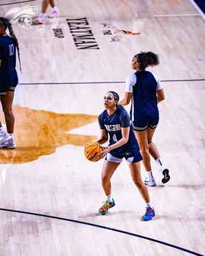 Image post by @csubucswbb on Instagram