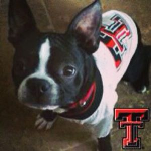 Image post by @texastechathletics on Instagram