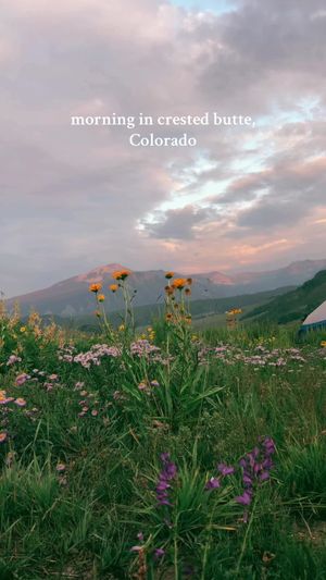 Video post by @filmbychloeg on TikTok