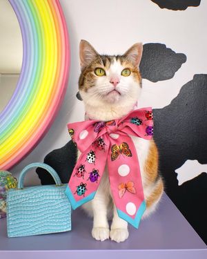 Image post by @champagneunicorns on Instagram