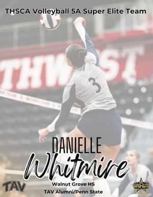 Image post by @tavvolleyball on Instagram