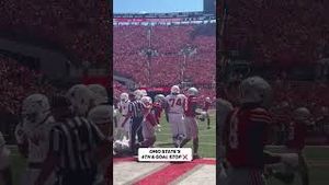 Video post by @cfbonfox on YouTube
