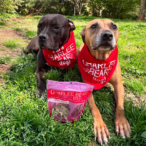 Image post by @charlee_bear_dogtreats on Instagram