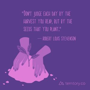 Image post by @trtry.co on Facebook