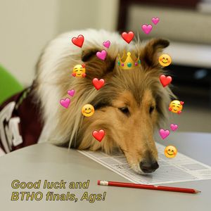 Image post by @tamu on Instagram