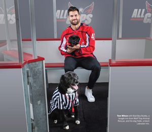 Image post by @tomwilson on Instagram