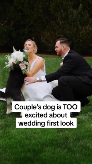 Video post by @lovestoriestv on TikTok