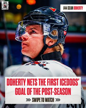 Image post by @ohlicedogs on Instagram