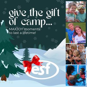 Image post by @esfcamps on Instagram