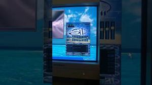 Video post by @311 on YouTube