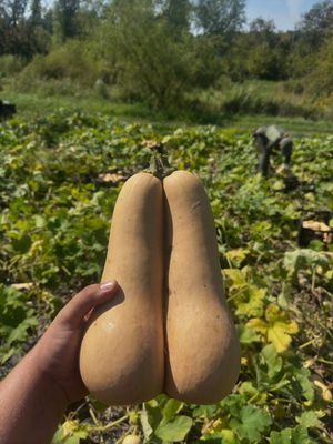 Image post by @forage_kitchen on Instagram