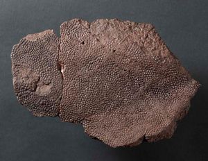 Image post by @ROMtoronto on Twitter