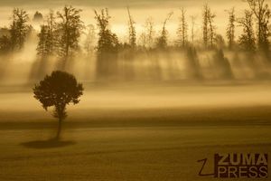 Image post by @zumapress on Instagram