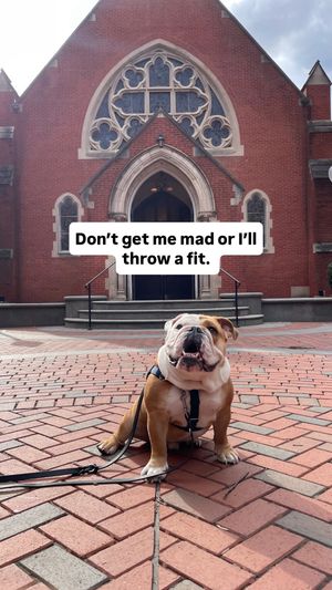 Video post by @georgetownu on TikTok