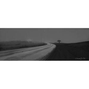 Image post by @haneefshareef on Instagram