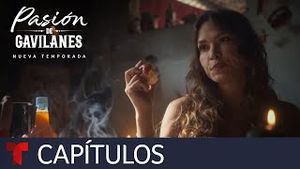Video post by @telemundo on YouTube