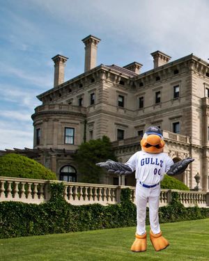 Image post by @newportgulls on Instagram