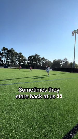 Video post by @archerslc on TikTok
