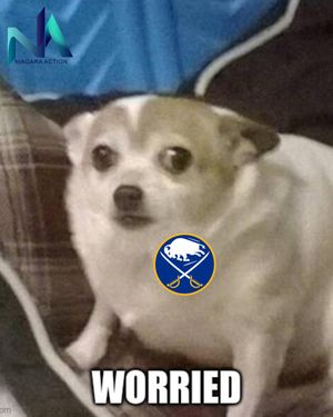 Image post by @NiagaraAction on Twitter