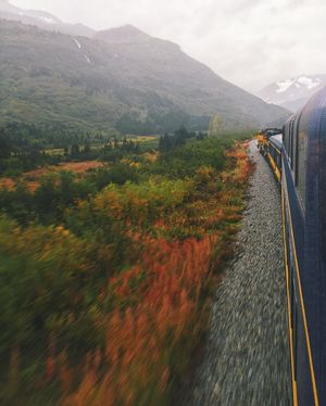 Image post by @kirstenalana on Instagram