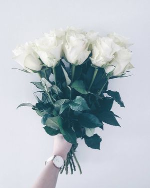Image post by @kate.simple.life on Instagram
