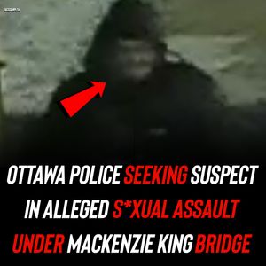 Image post by @shottawa.tv on Instagram
