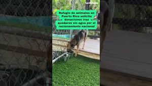 Video post by @laopinionla on YouTube
