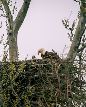 Image post by @jbyrne_photography on Instagram