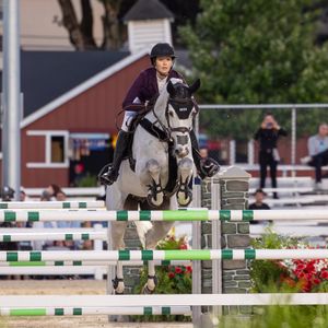 Image post by @usefnetwork on Instagram