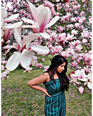 Image post by @explorewithreshma on Instagram